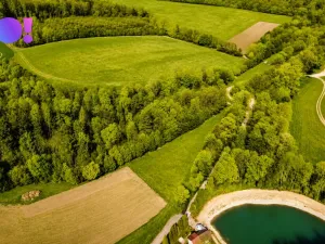 Prodej zahrady, Zástřizly, 1318 m2