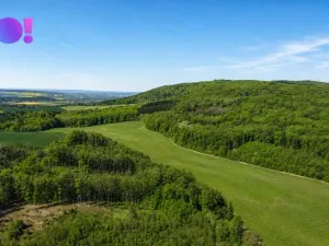 Prodej zahrady, Zástřizly, 1318 m2