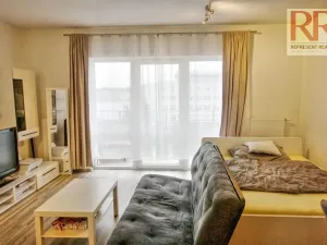 Pronájem bytu 1+kk, Plzeň, U Borských kasáren, 40 m2