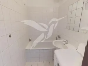 Pronájem bytu 1+kk, Plzeň, Kreuzmannova, 25 m2