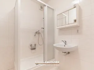 Prodej bytu 2+kk, Ivančice, Sportovní, 60 m2
