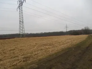 Dražba pole, Tišice, 1831 m2