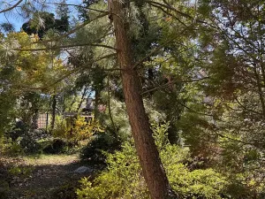 Prodej pozemku pro bydlení, Mnichovo Hradiště, Nad Skalou, 962 m2