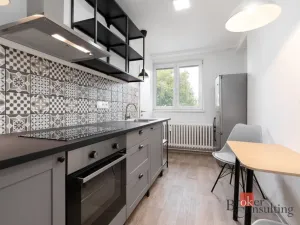 Pronájem bytu 1+1, Opava - Město, Solná, 33 m2