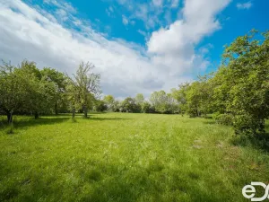 Prodej pozemku pro bydlení, Praskačka - Sedlice, 5013 m2
