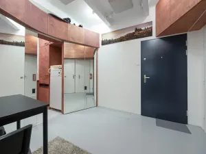 Pronájem bytu 1+1, Praha - Žižkov, Baranova, 49 m2