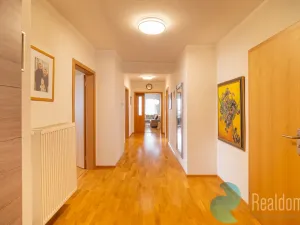 Prodej komerčního pozemku, Světlík, 304 m2