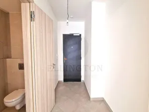 Prodej bytu 1+kk, Praha - Chodov, Měchnovská, 33 m2