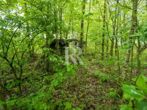Prodej zahrady, Liberec, 1946 m2