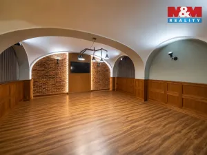 Prodej obchodního prostoru, Olomouc, Riegrova, 890 m2