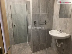 Pronájem bytu 1+1, Nový Jičín, B. Martinů, 31 m2