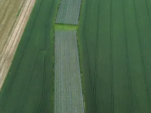 Prodej komerčního pozemku, Čejkovice, 32904 m2