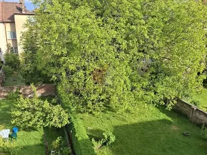 Pronájem bytu 1+kk, Kolín, Štítarská, 30 m2