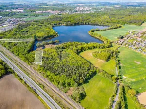 Prodej lesa, Srch - Pohránov, 12208 m2