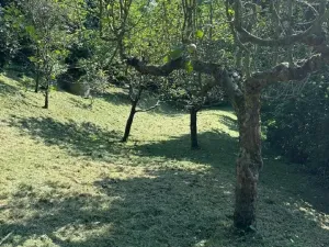 Prodej pozemku pro bydlení, Zlín - Příluky, Boněcko II, 893 m2