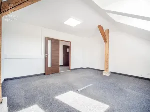 Prodej rodinného domu, Mladá Boleslav, Ptácká, 305 m2