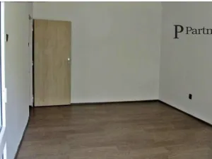 Pronájem bytu 1+kk, Ostrava, Opavská, 24 m2