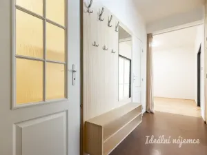 Pronájem bytu 2+1, Praha - Vinohrady, Vinohradská, 69 m2