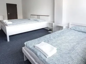 Prodej ubytování, Most, Pod Širokým vrchem, 312 m2