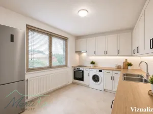 Prodej rodinného domu, Dolany nad Vltavou, K Lesu, 261 m2