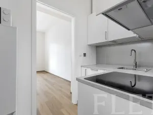Pronájem bytu 1+kk, Praha - Žižkov, Milíčova, 29 m2