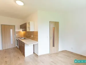 Pronájem bytu 1+1, Šumperk, Evaldova, 38 m2