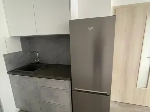Pronájem bytu 2+kk, Ostrava - Hrabůvka, Hasičská, 41 m2