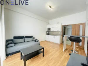Pronájem bytu 1+kk, Plzeň, Jablonského, 28 m2