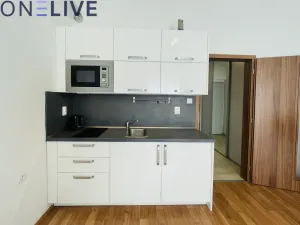 Pronájem bytu 1+kk, Plzeň, Jablonského, 28 m2
