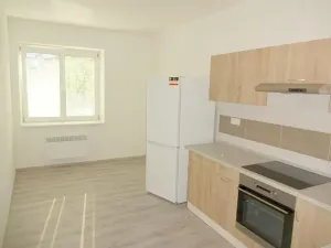 Pronájem bytu 1+1, Brno, Metodějova, 55 m2