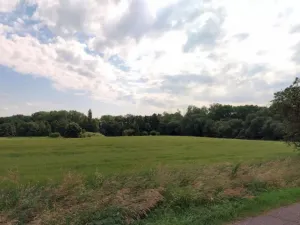 Prodej pole, Květnice, Lékořicová, 4623 m2