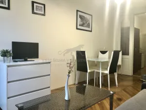 Pronájem bytu 1+kk, Praha - Josefov, Elišky Krásnohorské, 22 m2