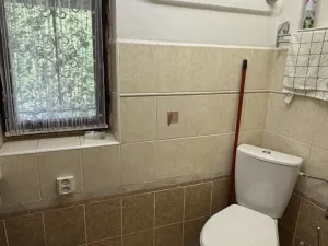 Prodej chaty, Plzeň - Bolevec, 40 m2