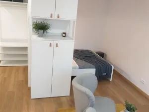 Pronájem bytu 1+kk, Pardubice - Zelené Předměstí, Palackého třída, 37 m2
