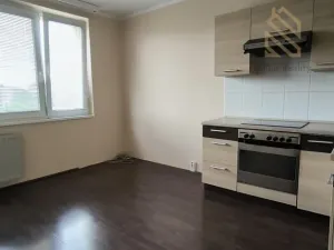 Pronájem bytu 1+1, Louny, Petra Obrovce, 35 m2