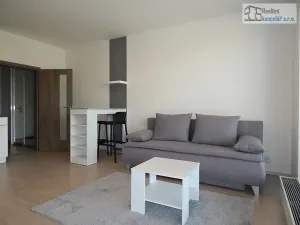 Pronájem bytu 1+kk, Brno, Střední, 38 m2