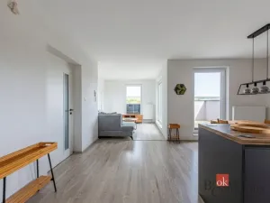Pronájem bytu 3+kk, Heřmanova Huť - Vlkýš, U Pondu, 80 m2