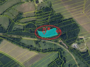 Prodej sadu/vinice, Bludov, 11057 m2