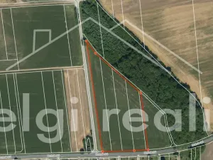 Prodej komerčního pozemku, Hrušovany nad Jevišovkou, Lidická, 14000 m2