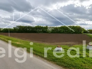Prodej komerčního pozemku, Hrušovany nad Jevišovkou, Lidická, 14000 m2