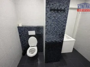 Pronájem bytu 2+1, Český Krumlov - Plešivec, 5. května, 62 m2