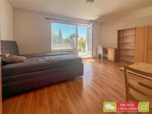 Pronájem bytu 1+kk, Praha, Na křečku, 60 m2
