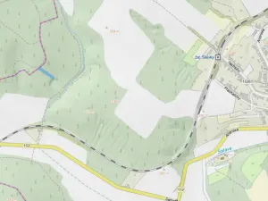 Prodej lesa, Silůvky, 1739 m2