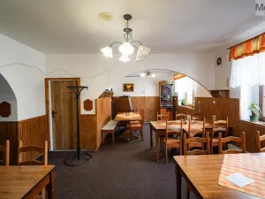 Prodej restaurace, Litvínov - Horní Litvínov, Studentská, 388 m2