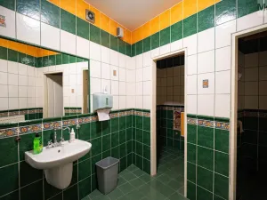 Prodej restaurace, Litvínov - Horní Litvínov, Studentská, 388 m2