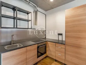 Pronájem bytu 1+kk, Praha - Radlice, Pechlátova, 50 m2