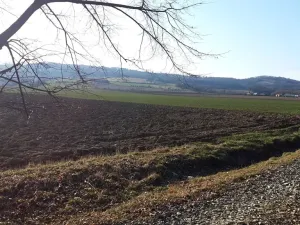 Prodej pozemku pro bydlení, Libina, 1180 m2