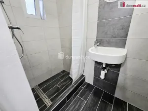 Pronájem bytu 1+kk, Lužná, Nová, 16 m2