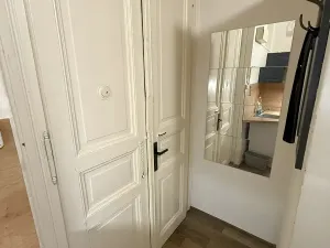 Pronájem bytu 1+kk, Praha - Nové Město, Rumunská, 25 m2