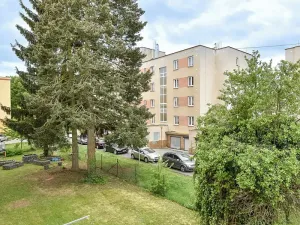 Prodej bytu 1+1, Plzeň, Kyjevská, 29 m2